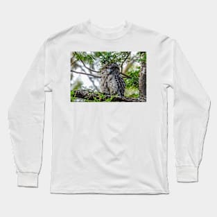 Tawny Frogmouth giving me that stare Long Sleeve T-Shirt